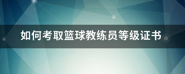 篮球训练营中试训的表现评估方法_0